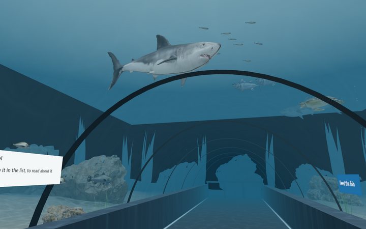 The ocean tunnel: a shark over the glass of a tunnel under the water